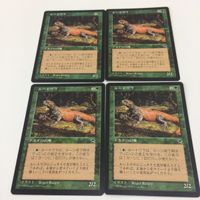 MTG まとめ マジックザギャザリング スカイシュラウドのこぶ作戦 ルートワラ ハリケーンズ 8 7 ワイルーリーの狼 9 サムネイル 4