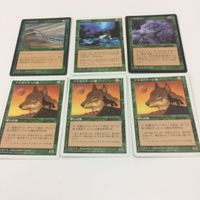 MTG まとめ マジックザギャザリング スカイシュラウドのこぶ作戦 ルートワラ ハリケーンズ 8 7 ワイルーリーの狼 9 サムネイル 3
