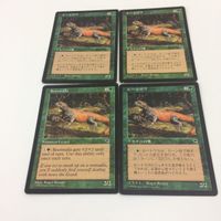 MTG まとめ マジックザギャザリング スカイシュラウドのこぶ作戦 ルートワラ ハリケーンズ 8 7 ワイルーリーの狼 9 サムネイル 5
