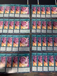 六武式襲双人 40枚 型番統一 六武衆 ノーマル まとめ 遊戯王 ROTA