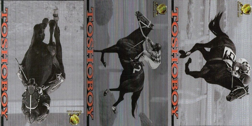 Horse Racing Card Lot Toushow Boy Thoroughbred