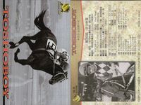 Horse Racing Card Lot Toushow Boy Thoroughbred サムネイル 4