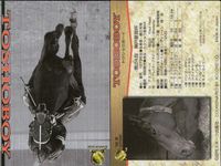 Horse Racing Card Lot Toushow Boy Thoroughbred サムネイル 2