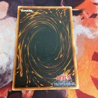 IT220516-1192 砦を守る翼竜 スタジオダイス版 初期 スーパーレア 遊戯王 サムネイル 5