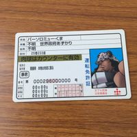 カード トレカ まとめ ワンピース ワンピ ポートガス D エース ジンベエ バーソロミュー くま ウソップ 10 サムネイル 7