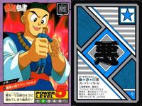 カード 幽遊白書 カードダス スーパーバトル まとめ 少林 40 玄武 39 白虎 38 バンダイ バンプレスト 1993 サムネイル 2