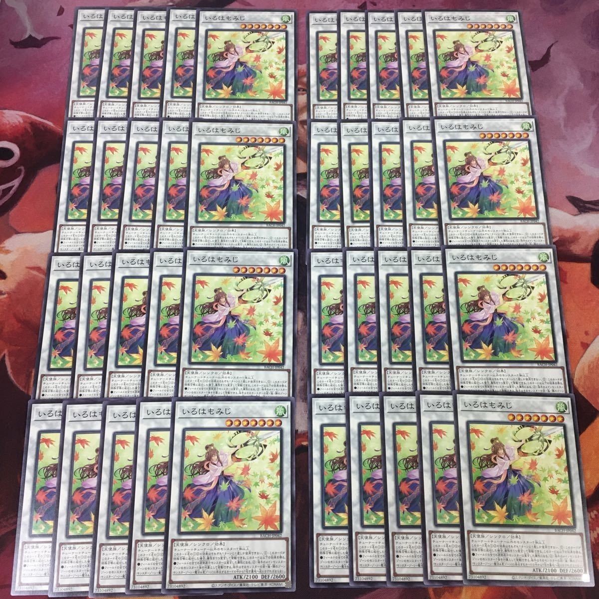 いろはもみじ 40枚 型番統一 まとめ 遊戯王 BACH-JP042 ノーマル