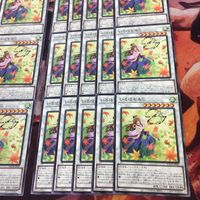 いろはもみじ 40枚 型番統一 まとめ 遊戯王 BACH-JP042 ノーマル サムネイル 5
