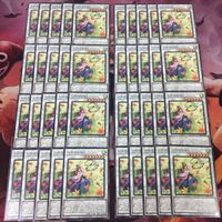 いろはもみじ 40枚 型番統一 まとめ 遊戯王 BACH-JP042 ノーマル サムネイル 1