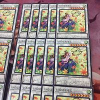 いろはもみじ 40枚 型番統一 まとめ 遊戯王 BACH-JP042 ノーマル サムネイル 3