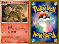 ポケモン カード まとめ 新裏面 9枚 ドンメル Lv.16 バクーダ Lv.49 ブーバー Lv.30 ヒトカゲ Lv.13 ヒトカゲ Lv.13 デルビル Lv.13 信別 ウインディ Lv.48 ロコン Lv.16 サムネイル 8
