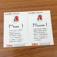 Neon Genesis Evangelion Card Lot Calbee Ramiel Anime サムネイル 4