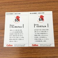 Neon Genesis Evangelion Card Lot Calbee Ramiel Anime サムネイル 10