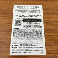 カード トレカ まとめ 非売品 プロモ ニコニコ カドカワ祭り 日常 天動のシンギュラリティ ストライクウィッチーズ 17 サムネイル 10