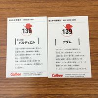 カード トレカ まとめ 新世紀 エヴァンゲリオン エヴァ カルビー 碇 シンジ バルディエル レリエル イロウル マトリエル 13 サムネイル 8