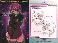カード まとめ カードダスマスターズ ガンダムSEED ネオ・ロアノーク 26 シン・アスカ 03 04 ルナマリア・ホーク 12 アスラン・ザラ 06 サムネイル 9