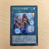 遊戯王 字レア カード トレーディングカード アマゾネスの秘術 まとめ サムネイル 5