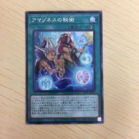 遊戯王 字レア カード トレーディングカード アマゾネスの秘術 まとめ サムネイル 3