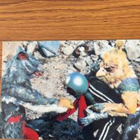 仮面ライダー カード まとめ 35 サムネイル 2