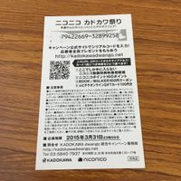 カード トレカ まとめ 非売品 プロモ ニコニコ カドカワ祭り 目玉焼きの黄身いつつぶす？ トリアージX 告白予行練習 闇の星太子 16 サムネイル 4