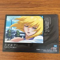 カード ダス マスター ズ カード ガンダム SEED Destiny まとめ シン アスカ ステラ 2 サムネイル 6