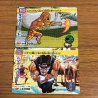 カード トレカ まとめ ストリートファイター ザンギエフ ディージェイ E 本田 飛龍 T ホーク サガット 12 サムネイル 3