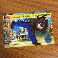 カード トレカ まとめ ストリートファイター ザンギエフ ディージェイ E 本田 飛龍 T ホーク サガット 12 サムネイル 7