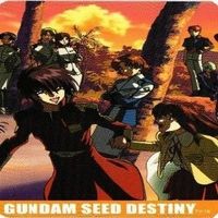 ラクスクライン キラヤマト カガリ ガンダムSEED DESTINY ディスティニー カード まとめ サムネイル 4