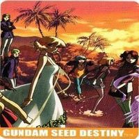 ラクスクライン キラヤマト カガリ ガンダムSEED DESTINY ディスティニー カード まとめ サムネイル 3
