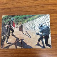 Kamen Rider Card Lot Calbee #1 Vintage サムネイル 5