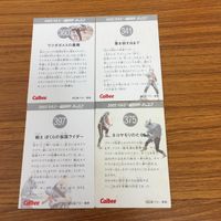 Kamen Rider Card Lot Calbee #1 Vintage サムネイル 6
