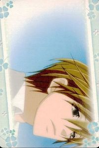 Junjou Romantica Card Lot MOVIC Japanese Anime サムネイル 1