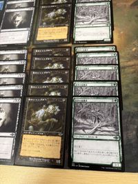 型番統一 コレクション 50枚 5種類 MTG まとめ サムネイル 5