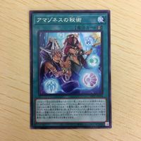 遊戯王 字レア カード トレーディングカード アマゾネスの秘術 まとめ サムネイル 4
