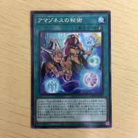 遊戯王 字レア カード トレーディングカード アマゾネスの秘術 まとめ サムネイル 5