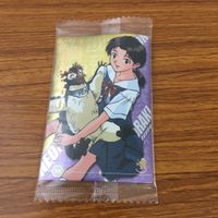 カード トレカ まとめ 新世紀 エヴァンゲリオン エヴァ 未開封 鈴原 トウジ 相田 ケンスケ 洞木 ヒカリ 綾波 レイ 36 サムネイル 5