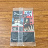 カード トレカ まとめ 新世紀 エヴァンゲリオン エヴァ 未開封 鈴原 トウジ 相田 ケンスケ 洞木 ヒカリ 綾波 レイ 36 サムネイル 8