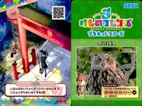 けものフレンズ けもフレ カード R まとめ カードリスト参照 6 サムネイル 9