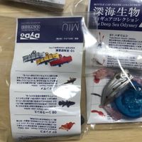 送料無料 深海生物フィギュアコレクション2 11種 まとめ シークレット 深海探査艇 深海生物 1904 J3-1 cha サムネイル 5