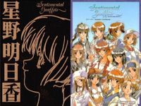 カード センチメンタルグラフティ ゴールド メタル 星野 明日香 ゴールド 非売品 プロモ Sentimental Graffiti サムネイル 2