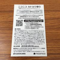 カード トレカ まとめ 非売品 プロモ ニコニコ カドカワ祭り ネトゲの嫁は女の子じゃないと思った？ 博多豚骨ラーメンズ 33 サムネイル 6