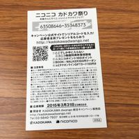 カード トレカ まとめ 非売品 プロモ ニコニコ カドカワ祭り ネトゲの嫁は女の子じゃないと思った？ 博多豚骨ラーメンズ 33 サムネイル 10