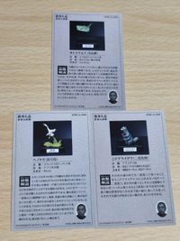 松本人志 珍獣カード カードのみ まとめ オトコマエイ ヘノトリ ニドアライグマ サムネイル 2