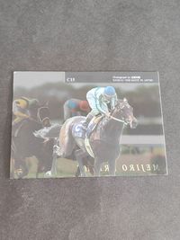 メジロブライト C15 クリアカード 最優秀父内国産馬 バンダイ THE GRADE ONE シリーズ・2 ザ・グレードワン 写真 画像 競馬カード サムネイル 2
