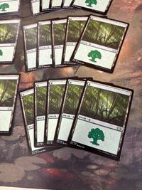 森 30枚 型番統一 Forest 基本土地 M15 266 まとめ MTG 日本語 JP サムネイル 5