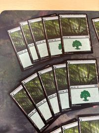 森 30枚 型番統一 Forest 基本土地 M15 266 まとめ MTG 日本語 JP サムネイル 2