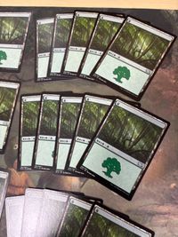 森 30枚 型番統一 Forest 基本土地 M15 266 まとめ MTG 日本語 JP サムネイル 3
