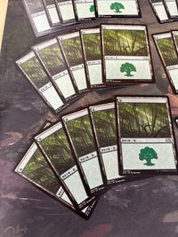森 30枚 型番統一 Forest 基本土地 M15 266 まとめ MTG 日本語 JP サムネイル 4