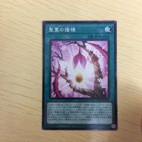遊戯王 ノーマル カード トレーディングカード 聖蔓の播種 まとめ サムネイル 3