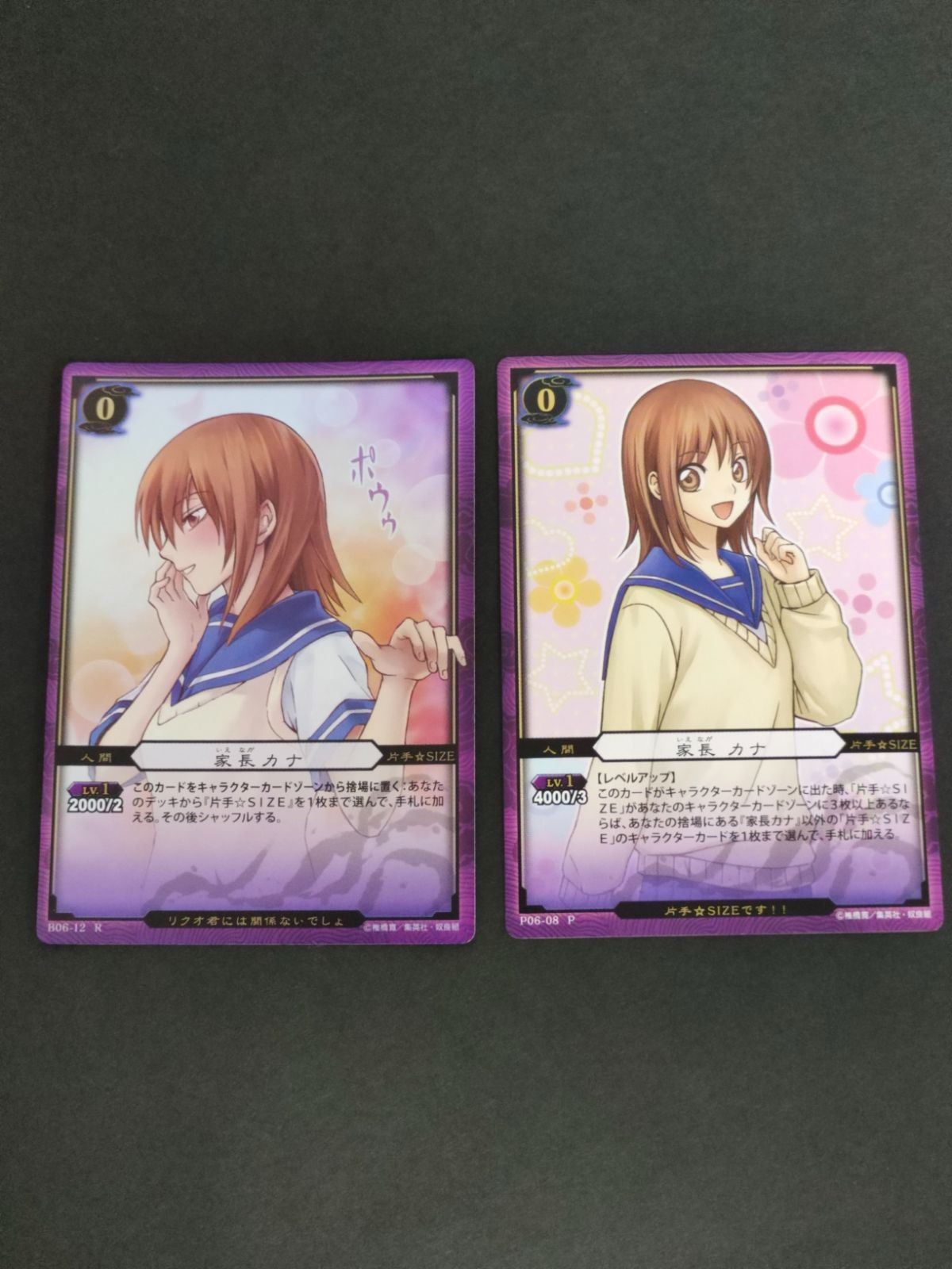 ぬらりひょんの孫 TCG カード 家長カナ P06-08 非売品 プロモ P B06-12 R